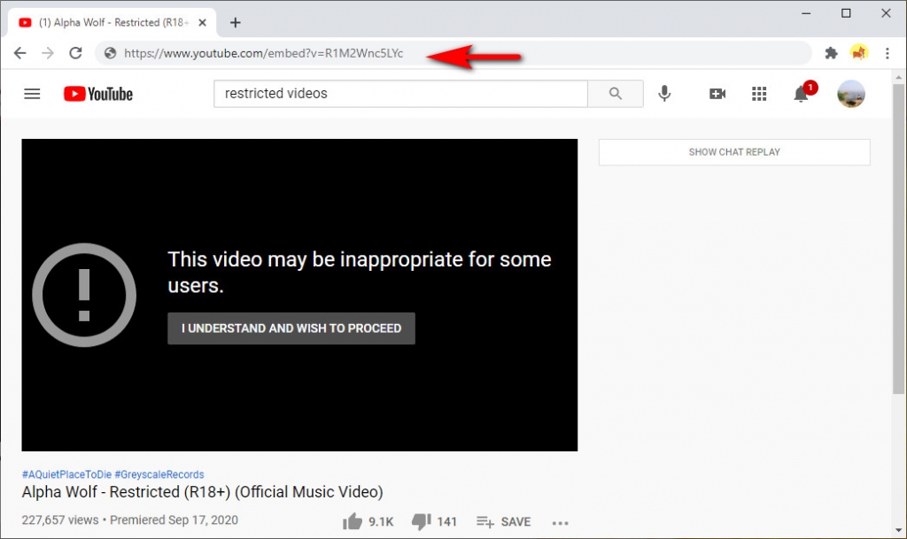 inappropriate video for users